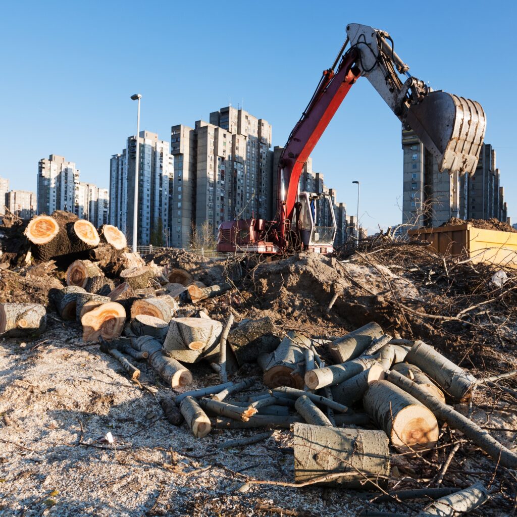 An image of an excavator moving large logs in the shadow of skyscrapers. This could represent the effects of climate change that a trauma therapist in Los Angeles, CA can offer support in addressing. Learn more about trauma treatment in California.